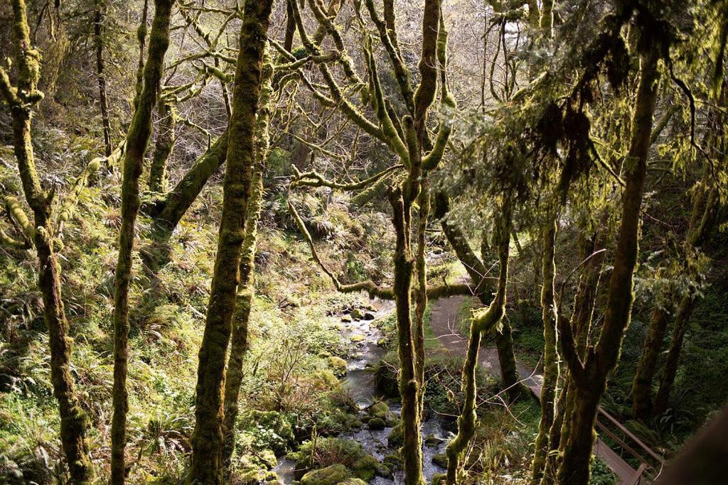 Taylor Creek Lodge Gold Beach Exteriör bild